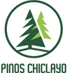 Taxi Pinos Chiclayo